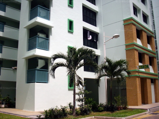 Blk 673C Jurong West Street 65 (Jurong West), HDB 5 Rooms #425802